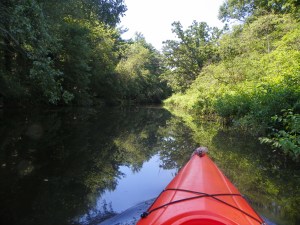 kayaking up river
