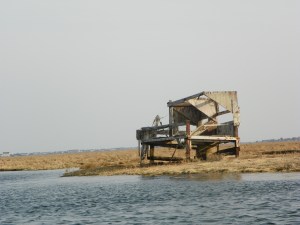 Don't have a clue what it is