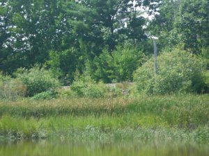 Down eastern train track