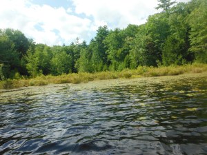 more view of the lake